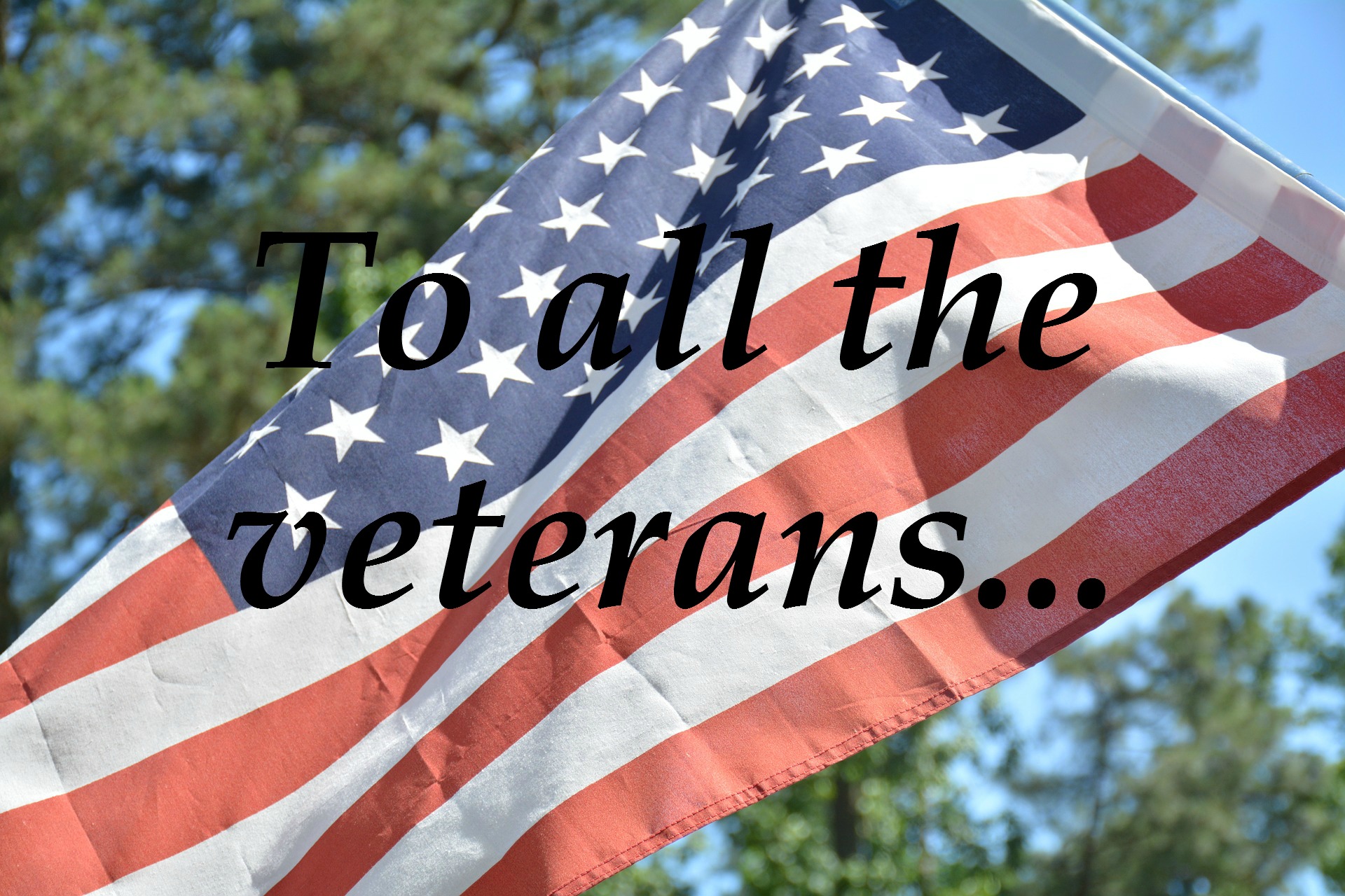 Veteran's Day - Thank you for your service.