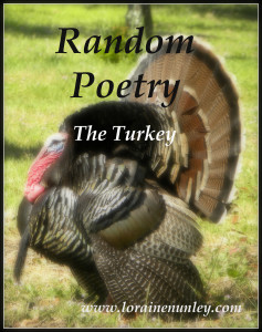 The Turkey (Random Poetry)   www.lorainenunley.com