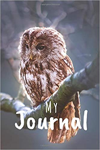 Book Cover: My Journal: Owl