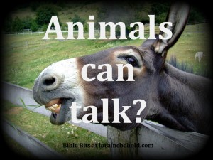Animals can talk?  Bible Bits at lorainebehold.com
